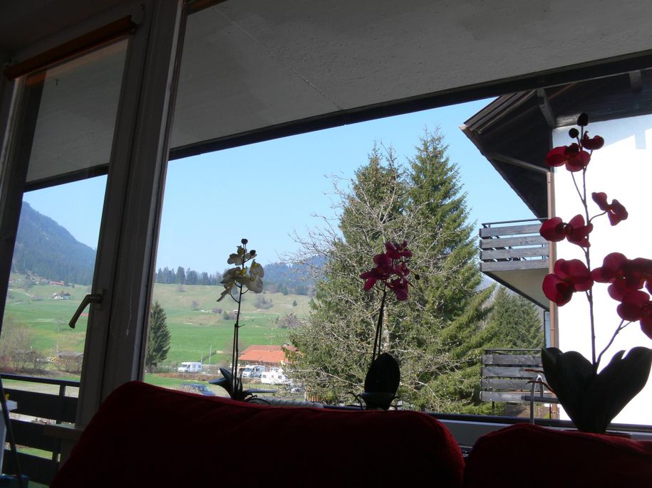 Ausblick Wohnzimmer