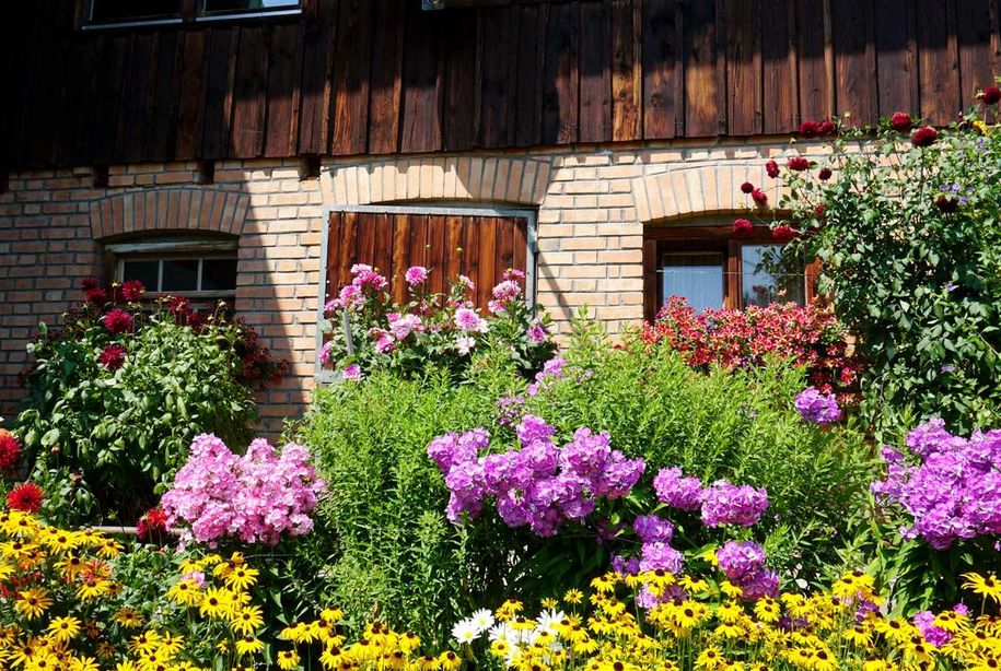 Stall Blumen