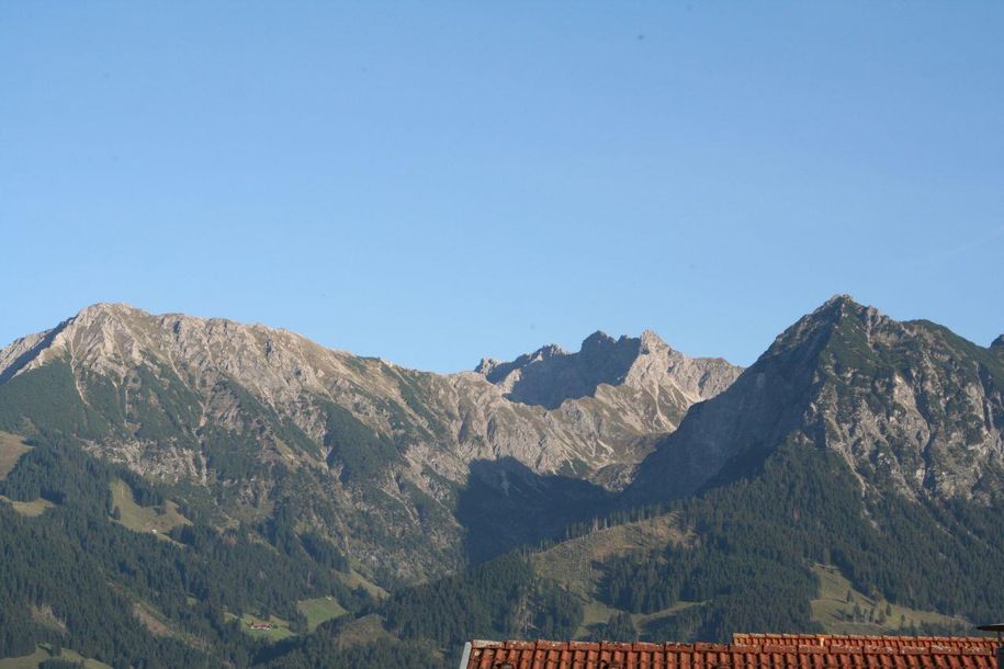 Ausblick