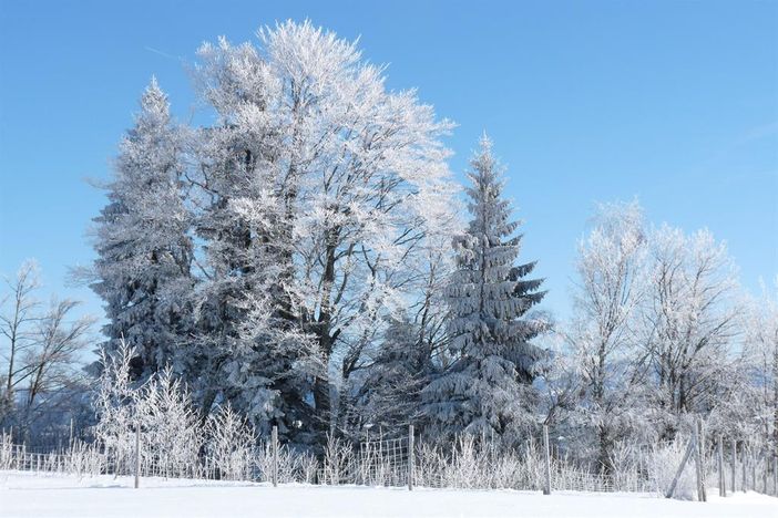 Winterimpressionen 1
