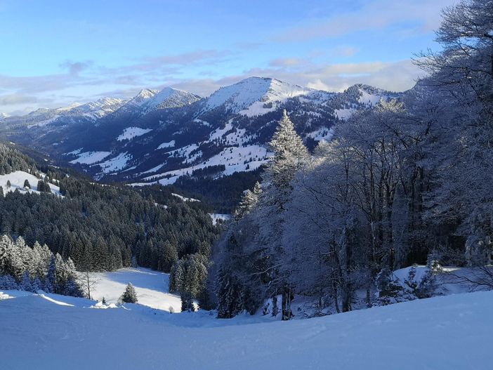 Hochgratblick