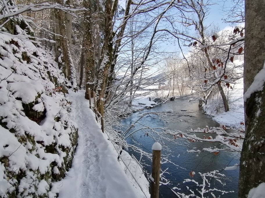Winterwanderung durch den Haldertobel
