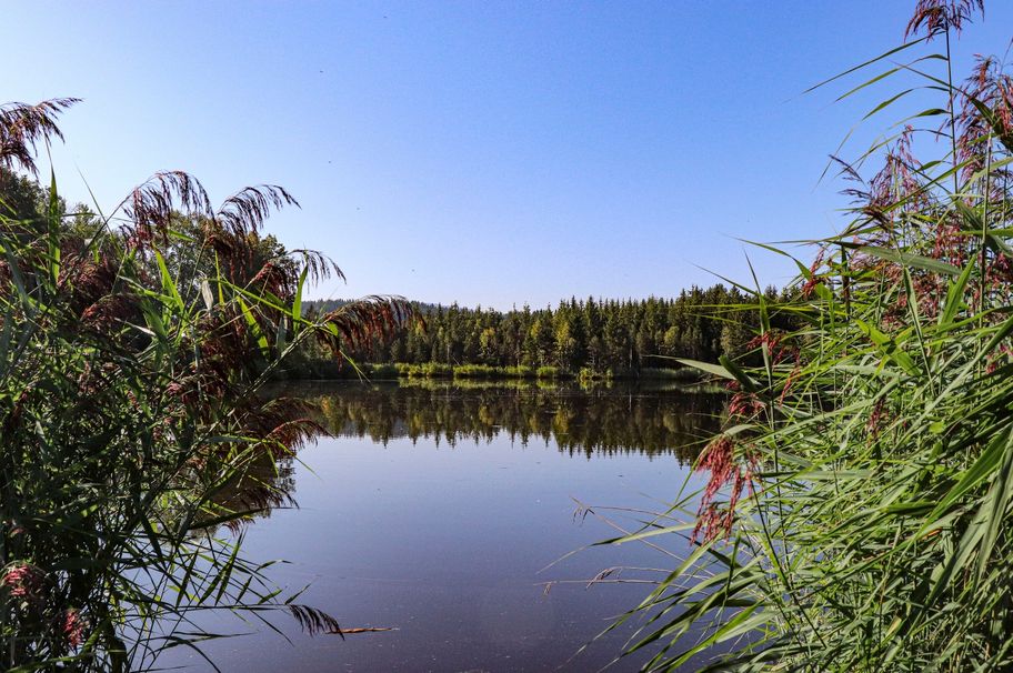 Abstecher zum Schönewalder Weiher