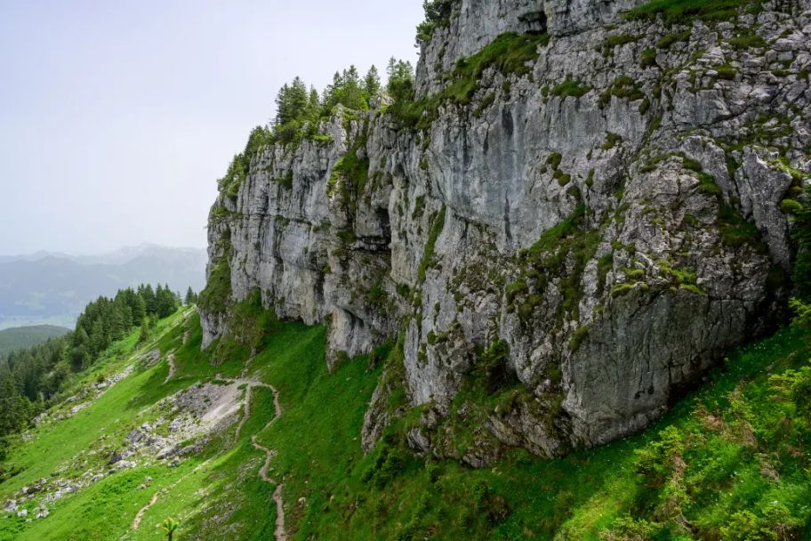 Vom Riedbergpass auf den Besler - 120 Millionen Jahre Erdgeschichte