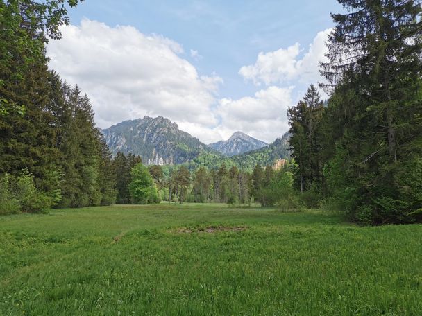 Schwanseerundweg