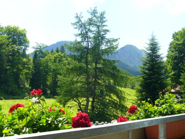 Aussicht vom Balkon