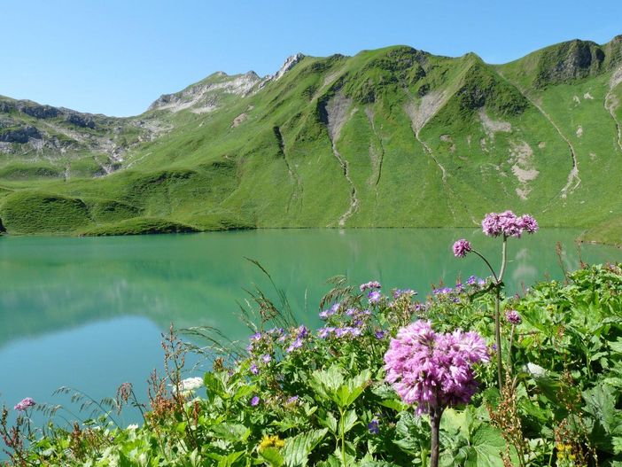 Hinterstein