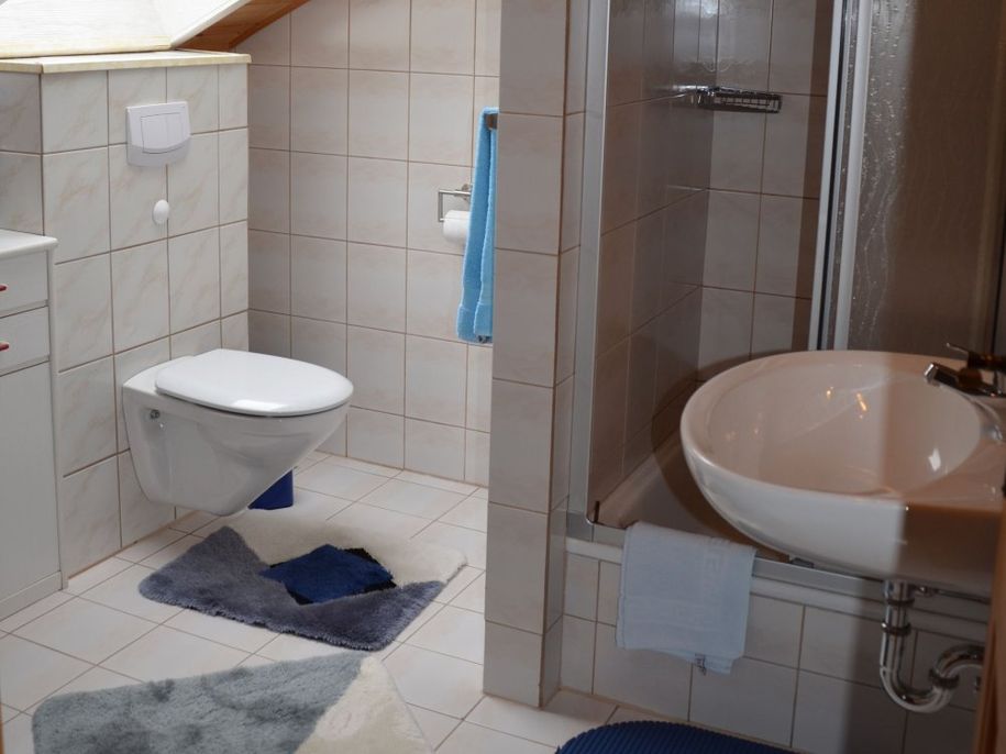 Dusche und WC in Fewo Bergblick