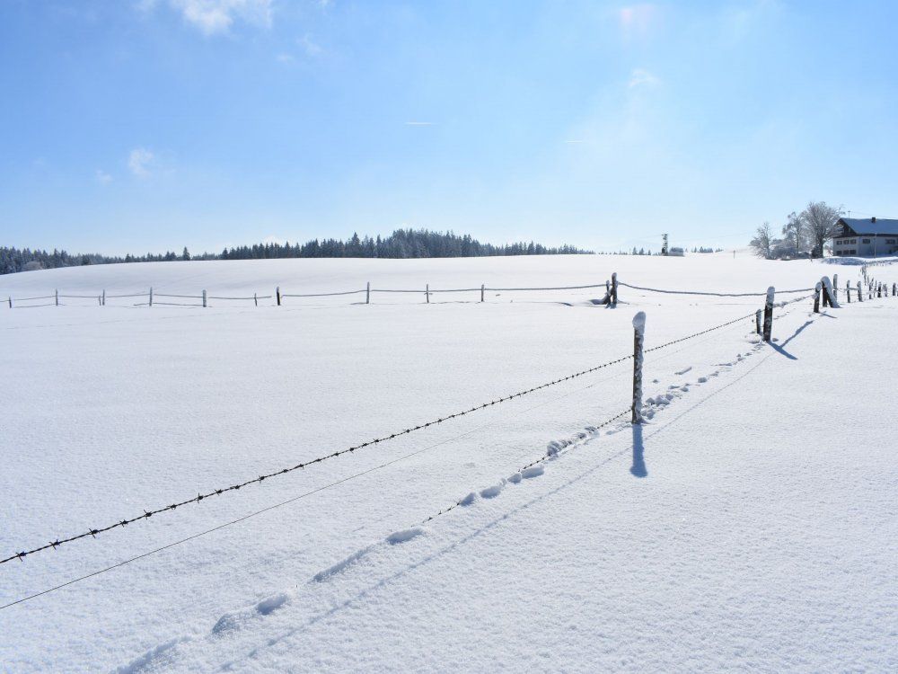 bilder kamera neu 703