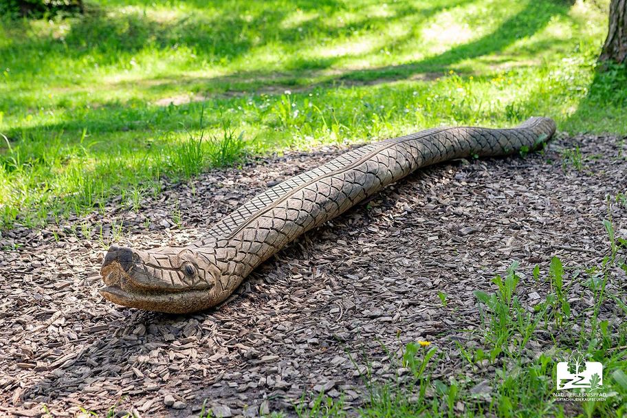 Holzschlange