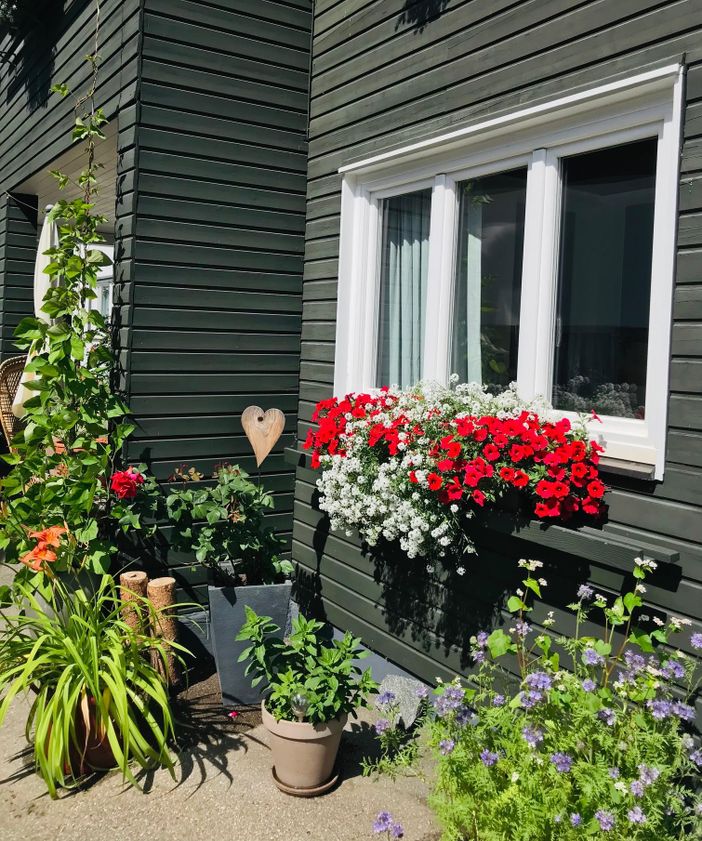 Haus FEWO Fenster