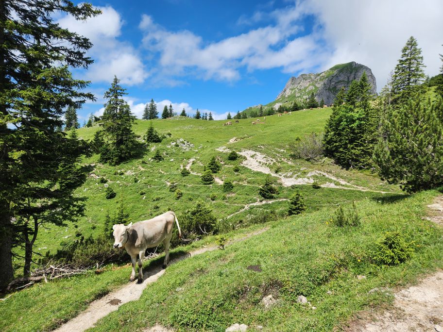 Höhenweg Füssener Jöchl zum Breitenberg
