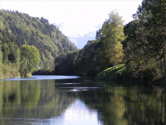 Auwaldsee