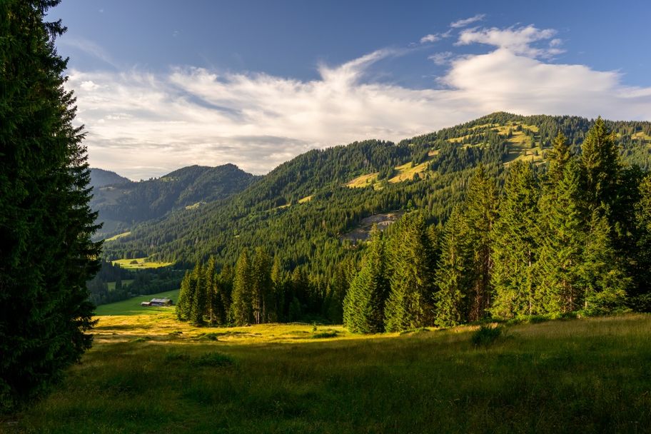 Von Balderschwang zum Scheuenwasserfall