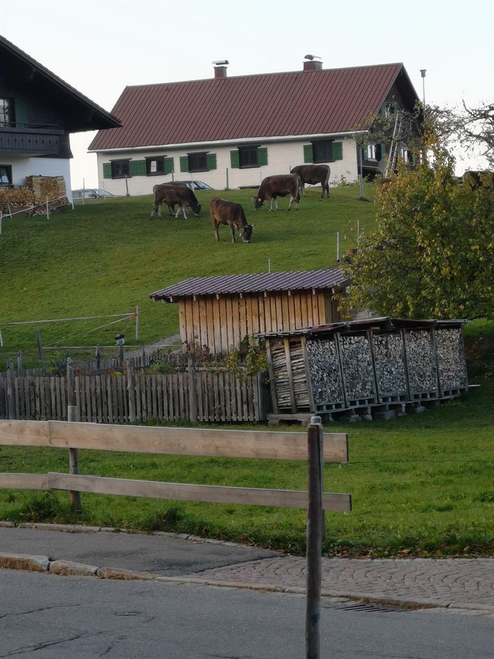 Landschaft- Allgäu
