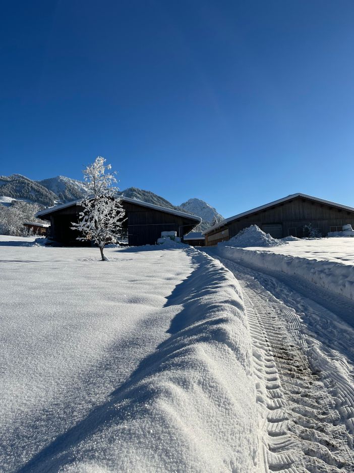 Winterblick zum Hof