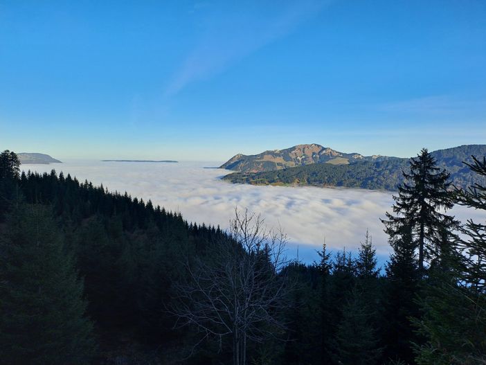 Über dem Nebelmeer