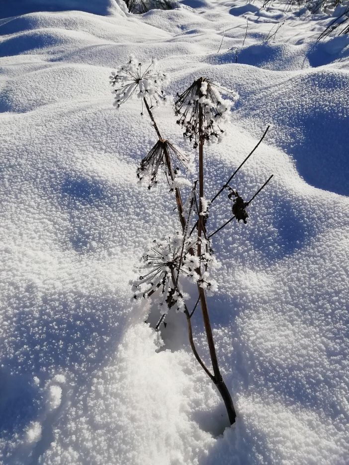Winter 24