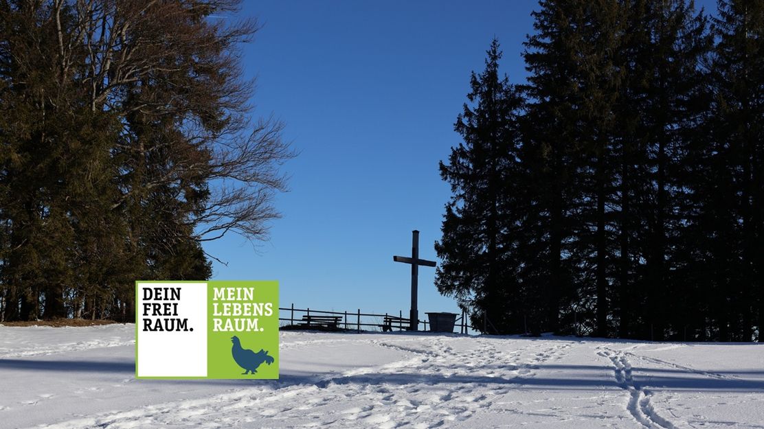 Von Steibis auf den Imberg (1.290m)