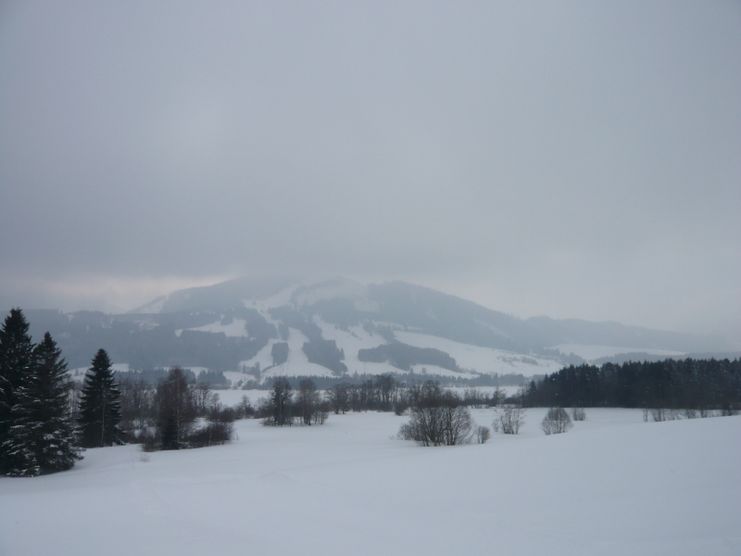 Blick über den zugefrorenen Grüntensee auf den Grünten