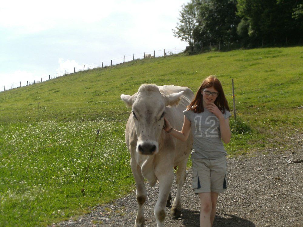 Sophies Lieblingskuh