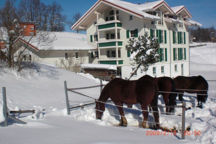 Ein Tag im Schnee