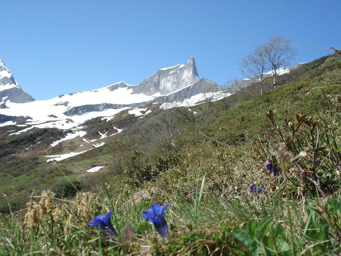 Blick zum Schneck