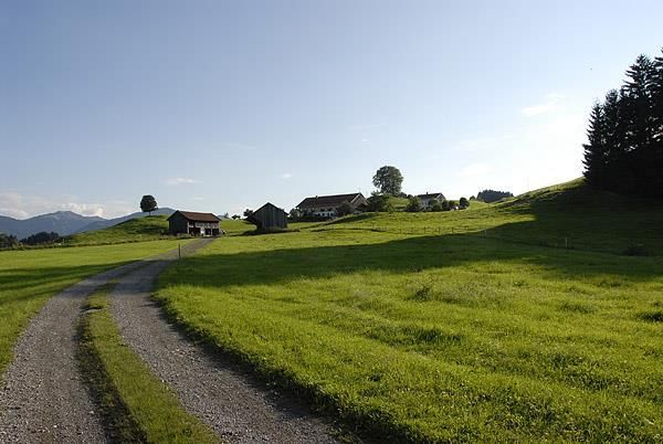 Hinterm Haus 2