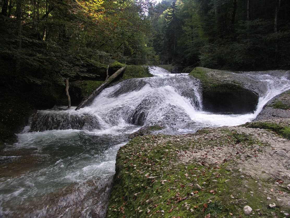Blick auf die Wasserfälle im Eistobel