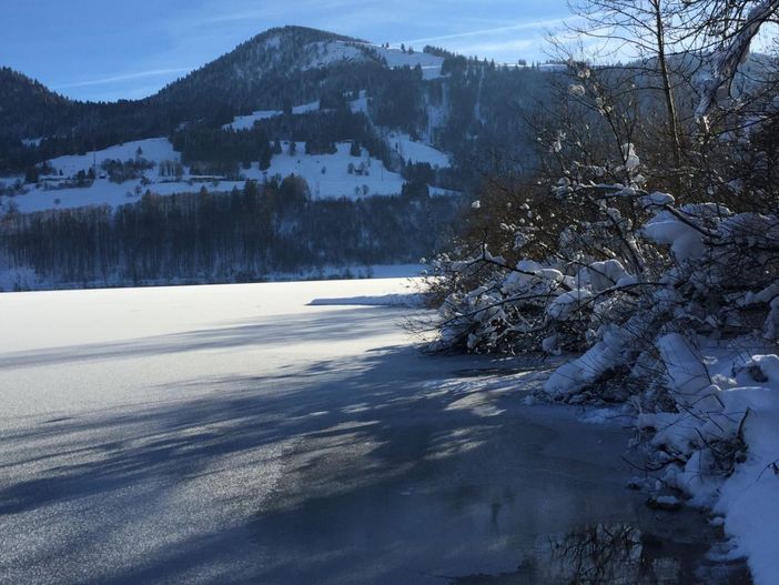 See Winter