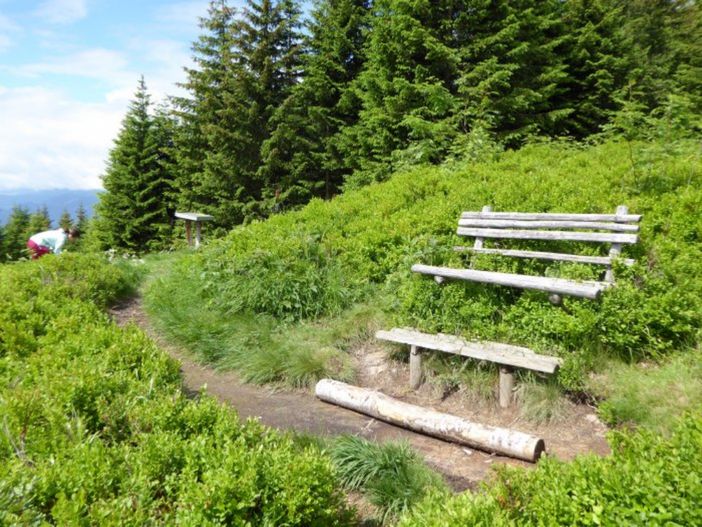 ortzumentschleunigen