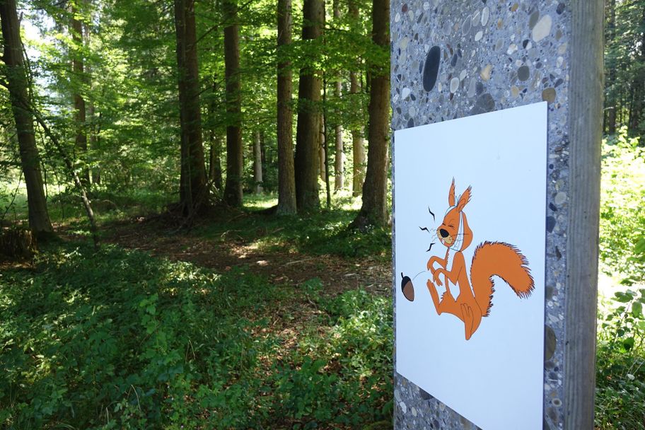 Eichhörnchenwald - Fischen i. Allgäu