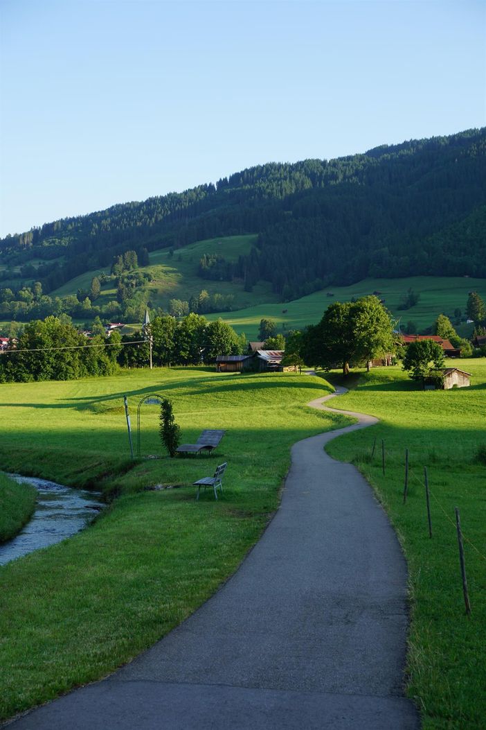 Blick_5
