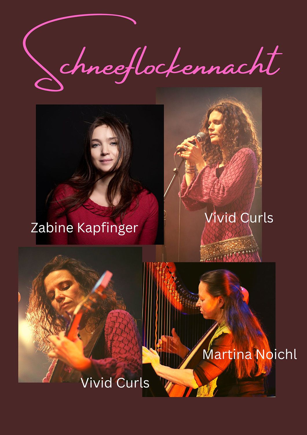 Schneeflockennacht 2026 - Grafik-web