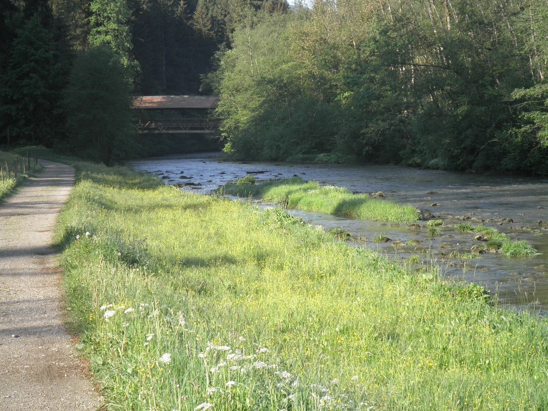 An der Wertach bei Nesselwang im Allgäu
