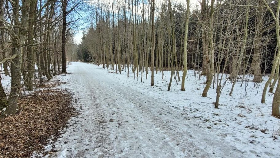 Stadtwaldrunde in Buchloe