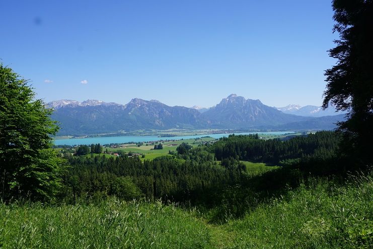 Logenplatz auf der Königsalpen-Route