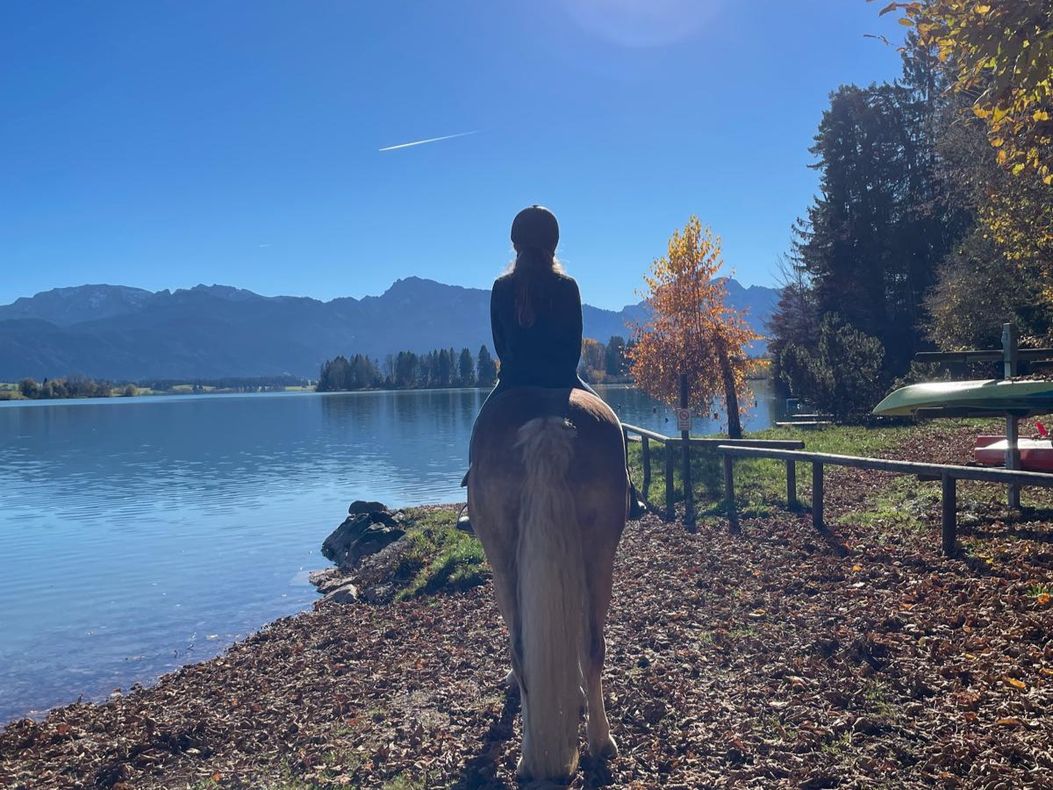 auch unsere Haflinger lieben den See