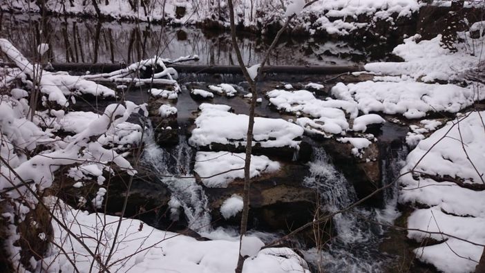 Winterimpressionen