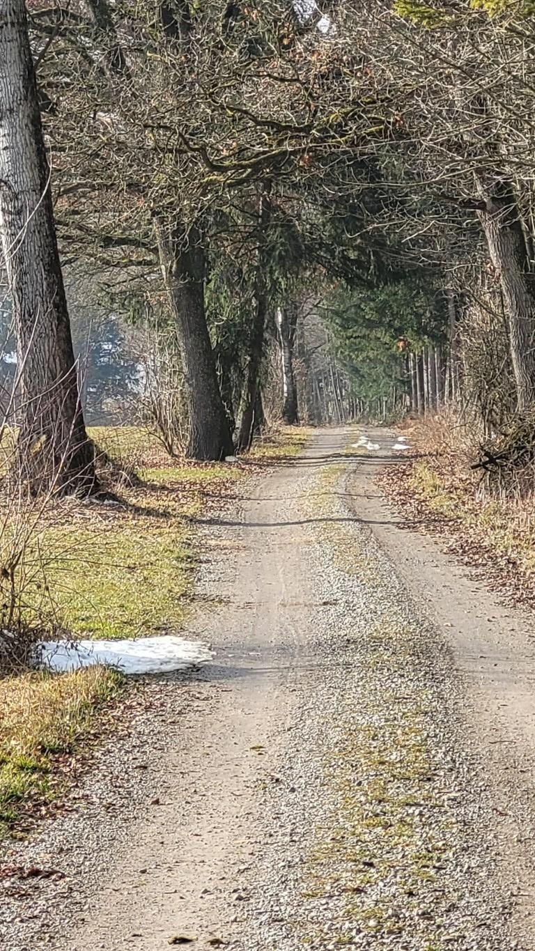 Stadtwaldrunde in Buchloe