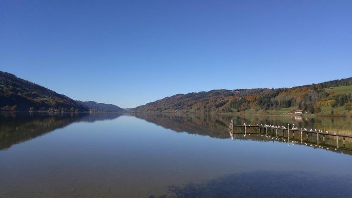 Am großen Alpsee