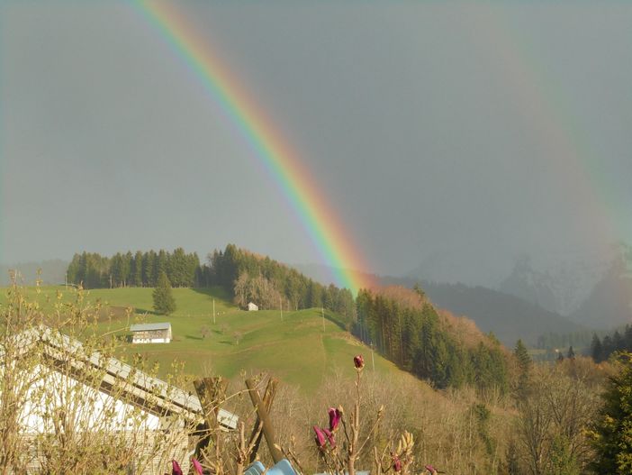 Regenbogen