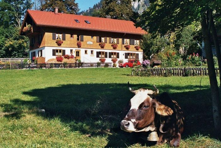 Haus mit Kuh