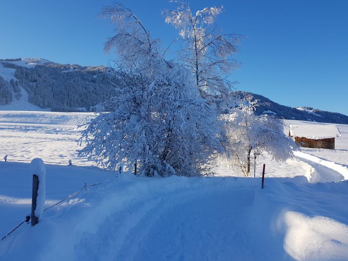 Spazierweg um Bolsterlang