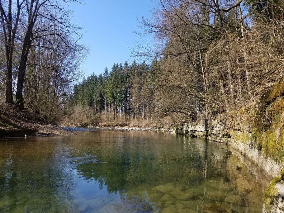Die Argen kurz vor Sigmanns
