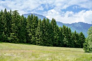 Ausblick