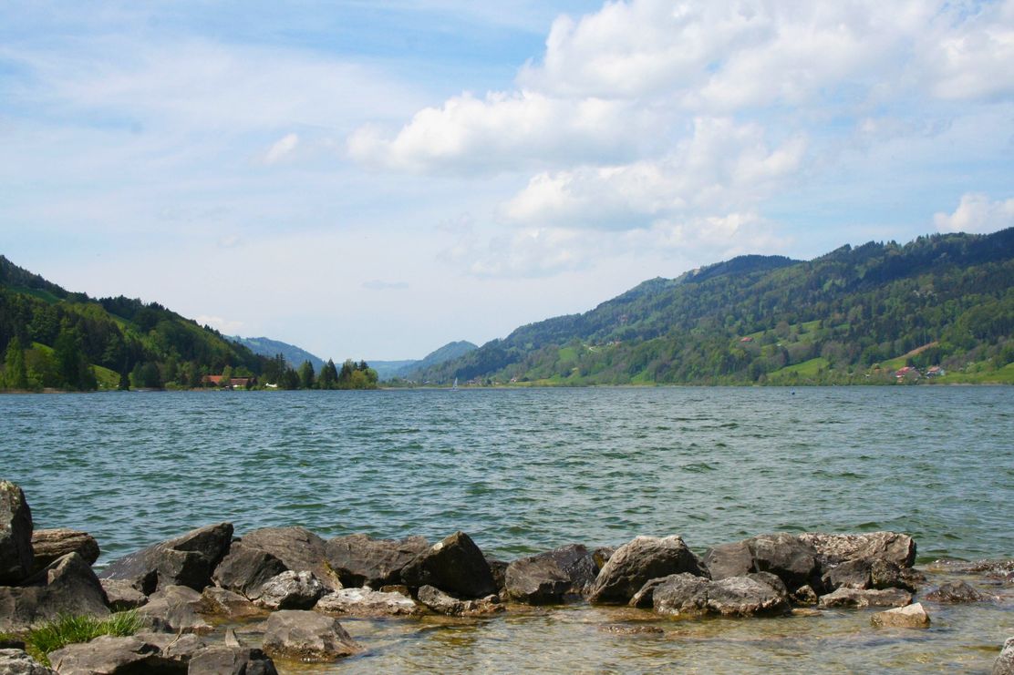 Blick über den Großen Alpsee