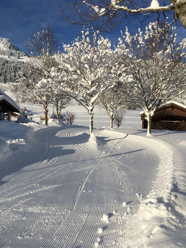 Kitzebichl Loipe - Langlaufen in Bolsterlang