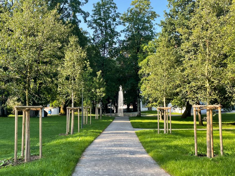 Allee zum Springbrunnen im Schlosspark