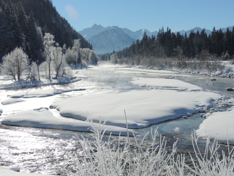 Winter an der Iller, am südlichen Ende des Auwaldsees bei Fischen im Allgäu. Im Hintergrund der Allgäuer Hauptkamm